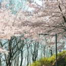 침산공원(A) 이미지