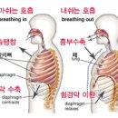 더우아 이미지