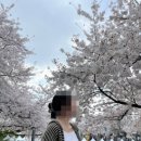 불광천(응암) 공중화장실 네이버블로그
