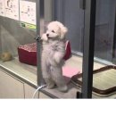 내기 이미지