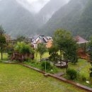 에코피아그린 이미지