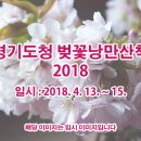 경기도청 벚꽃낭만산책 2018 이미지