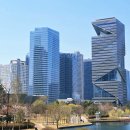 파크부동산공인중개사사무소 | 송도 센트럴파크 현재 꽃 상황🌸센텀하이브 앞 산책 후기 (feat.송도고래부동산)
