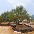 용담리70번지