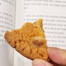 [해운대 빵집]부산 충보당_바스크치즈케이크,황치즈쿠키 外 택배 내돈내산