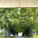 정보과학고 건너 이미지