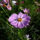 고잔역 교각밑 이미지