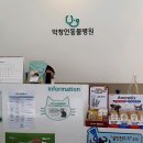 박창언 동물병원 이미지