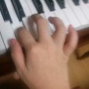 피아노칠때손가락모양이이상해.. 이미지