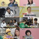 메이트라이프 이미지