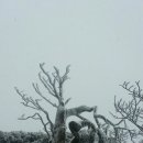 [종료] 충청도 주말산행! 제천 용두산 의림지 산행 2023년 12월 24일 일요일! 이미지