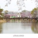 영산 만년교 이미지