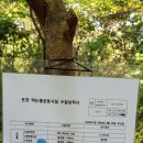 남양주 평내동 백봉산 등산 후기 백봉(587.2m)