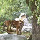 포레스트벨리캠프 이미지