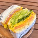 서구-01-54 이미지