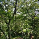 제주도 서귀포 안덕면 에서만 놀아용 이미지