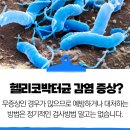 연세자연내과의원 이미지