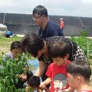 아름이농장 이미지