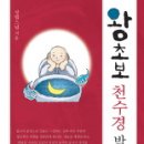 나무와 해(海) 이미지