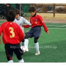 화산수지 이미지