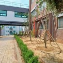 신림조경 이미지