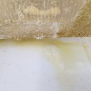 유카세탁 | 자동차에 라떼 우유를 쏟았을 때 아무 데서나 작업하면 돈 낭비할 겁니다