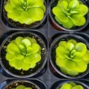 옥이네농장 이미지