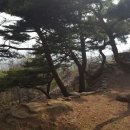 봉서농장 이미지