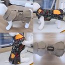 펫의류&펫소품 만들기 이미지