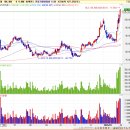 [&#39;24.2.1.(목) 거래대금 Top40] 금융·지주 등 저PBR주 강세, 현대차 그룹주 부각, 반도체 조정 마무리