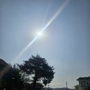 달동네식당 | 경주 여행 1박2일의 마지막 : 애견 동반 삼국 식당 삼국애 &amp; 추억의 달동네 데이트