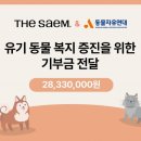 더샘 - 유성구 한밭대로 502 | 더샘