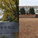 관촌동초 이미지