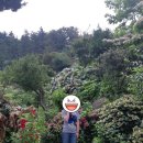 동백관광여행사 이미지