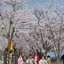 문척초등학교 이미지