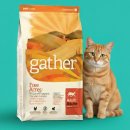 퍼피라이프 | EXP260710 l 로얄캐닌 독 요크셔테리어 퍼피 15kg 1개 반려라이프 숨겨진 활용법