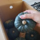 춘화농장 이미지