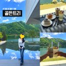 라스트애플트리 | 가평 카페 골든트리ㅣ북한강 뷰 대형카페 솔직 상세후기