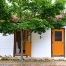 향림오토캠핑장 이미지