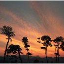 아침을 여는 풍경 이미지