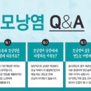 바로바디 이미지