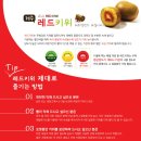 레드브릭스 이미지