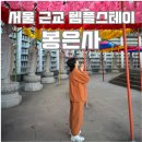 [서울 여행]봉은사 1박2일 휴식형 템플스테이 내돈내산 솔직후기