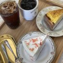앨리스케이커리&카페