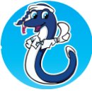 죽도물양장 이미지