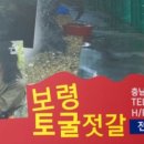 보령토굴젓갈 이미지