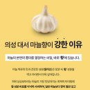 싱싱보따리 의성 대서마늘 구입 후기｜향 진한 국내산 햇마늘 추천