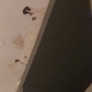 주주스테이 이미지