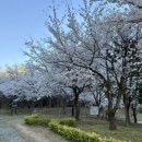 버스정류장(아리랑고개) 이미지