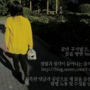 섬이보인다 이미지